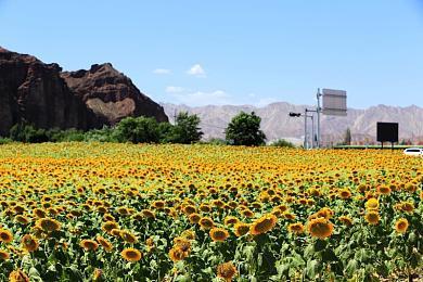 《战锤40K：星际战士2》新预告展示等离子焚化者