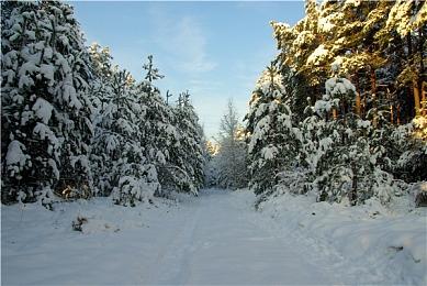 《解限机》主机版将是Xbox限时独占 晚些时候登陆PS5